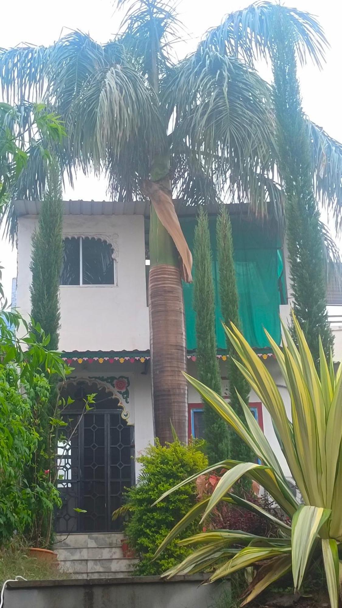 אודייפור Mohan Villa Guest House מראה חיצוני תמונה